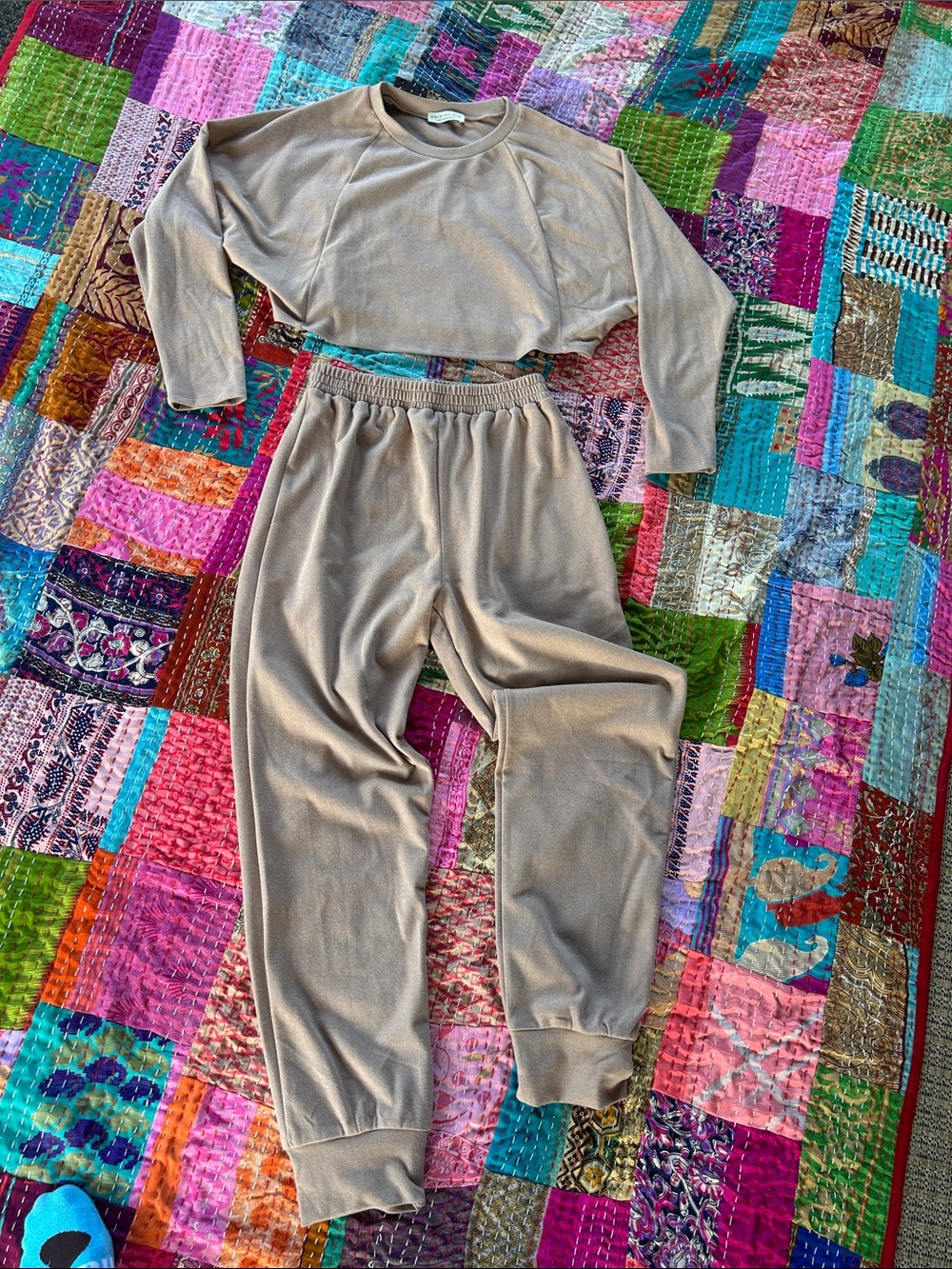 Paper Crane Taupe Cropped Sweatshirt & Elastic Joggers Set
